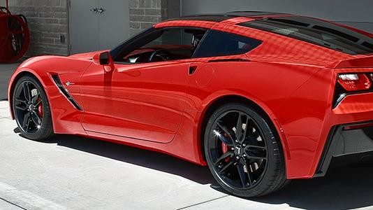 Stingray